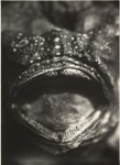 Science is Fiction – Filme und Photographien